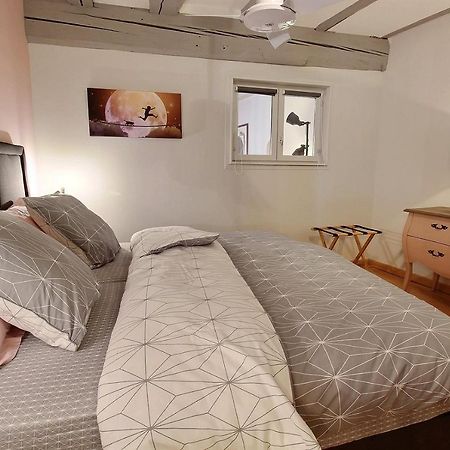 Le Ptit Bartho Apartment Colmar Ngoại thất bức ảnh