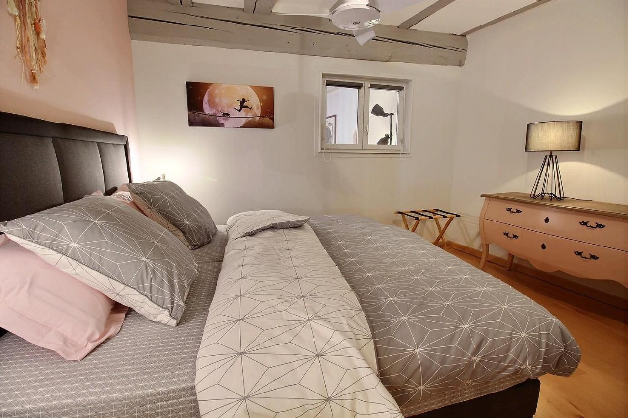 Le Ptit Bartho Apartment Colmar Ngoại thất bức ảnh